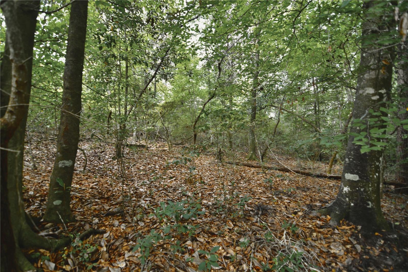 00 Old Federal Rd Property Photo 31