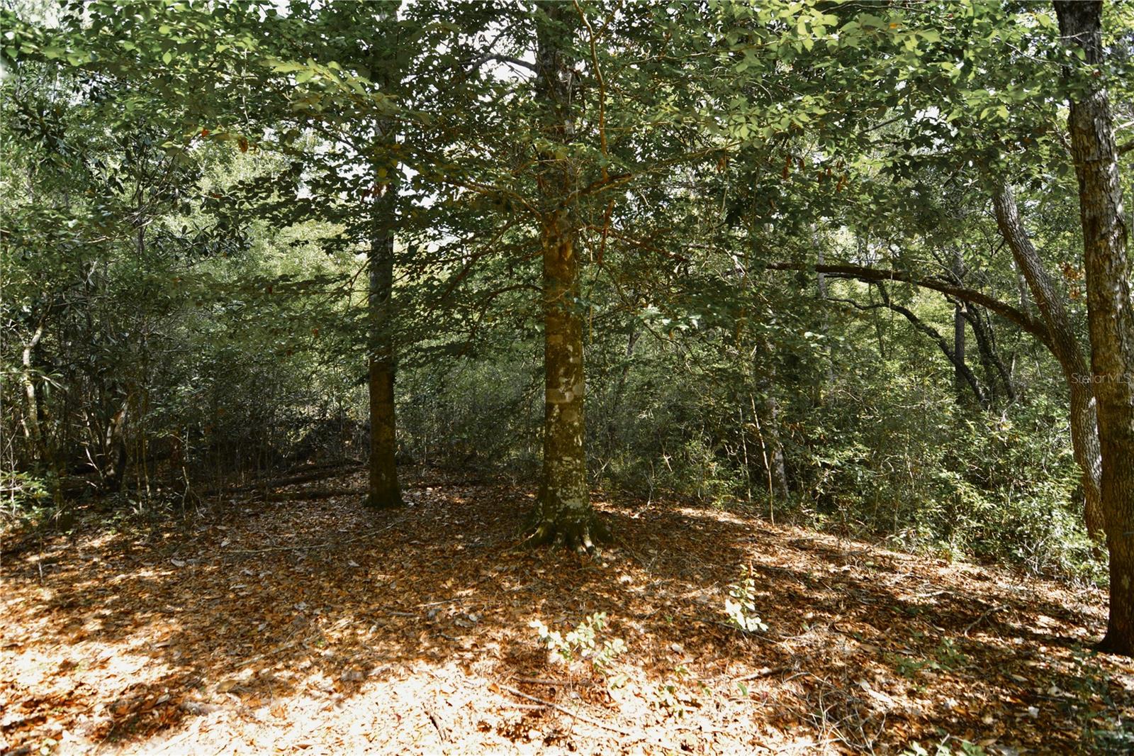 00 Old Federal Rd Property Photo 32