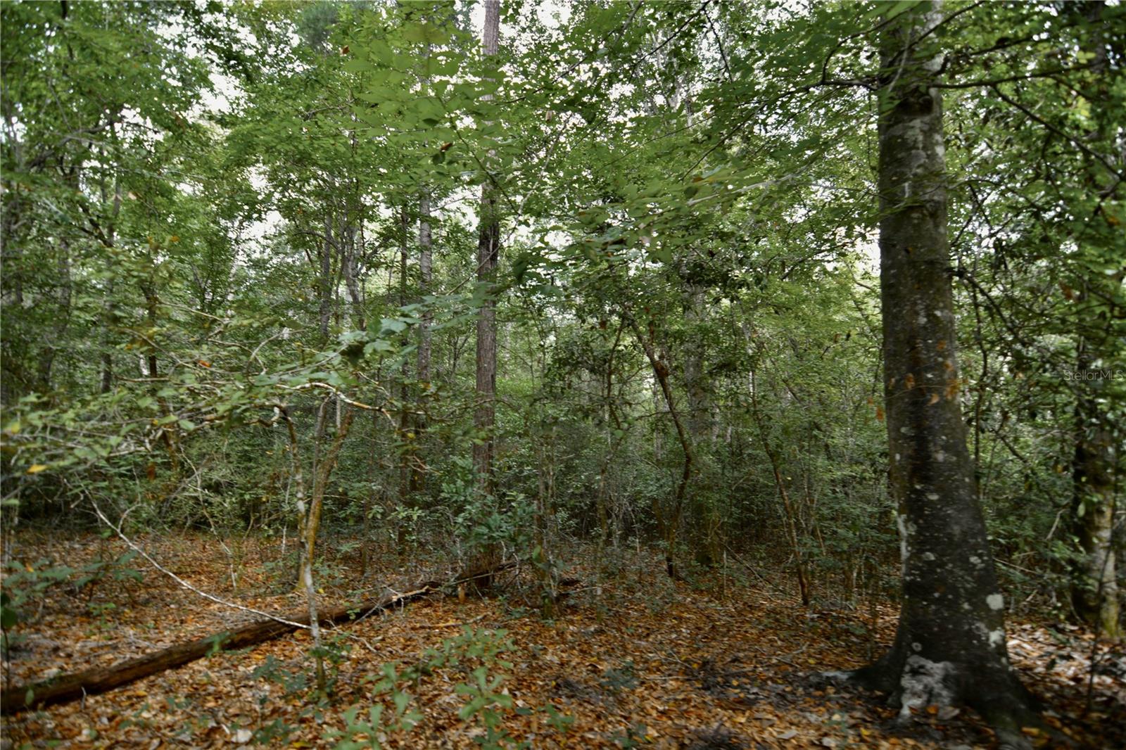 00 Old Federal Rd Property Photo 33