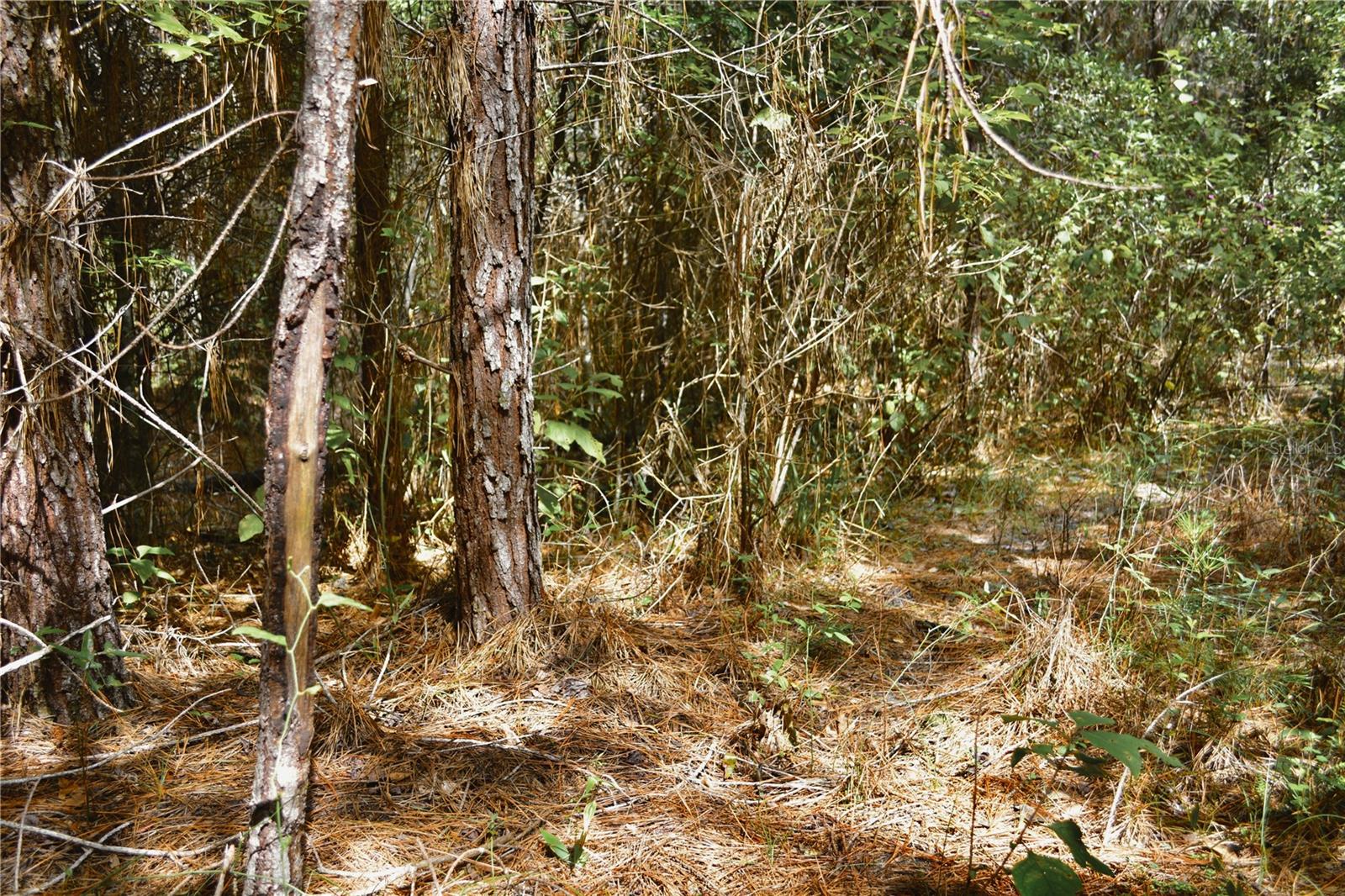 00 Old Federal Rd Property Photo 34