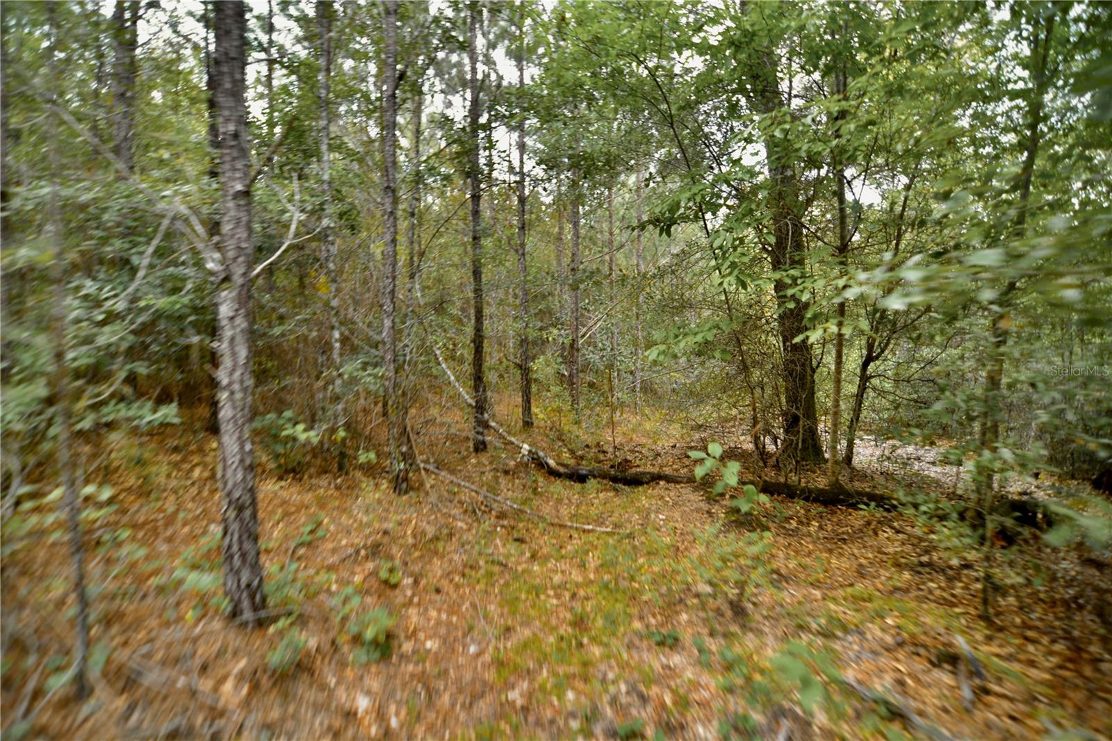 00 Old Federal Rd Property Photo 35