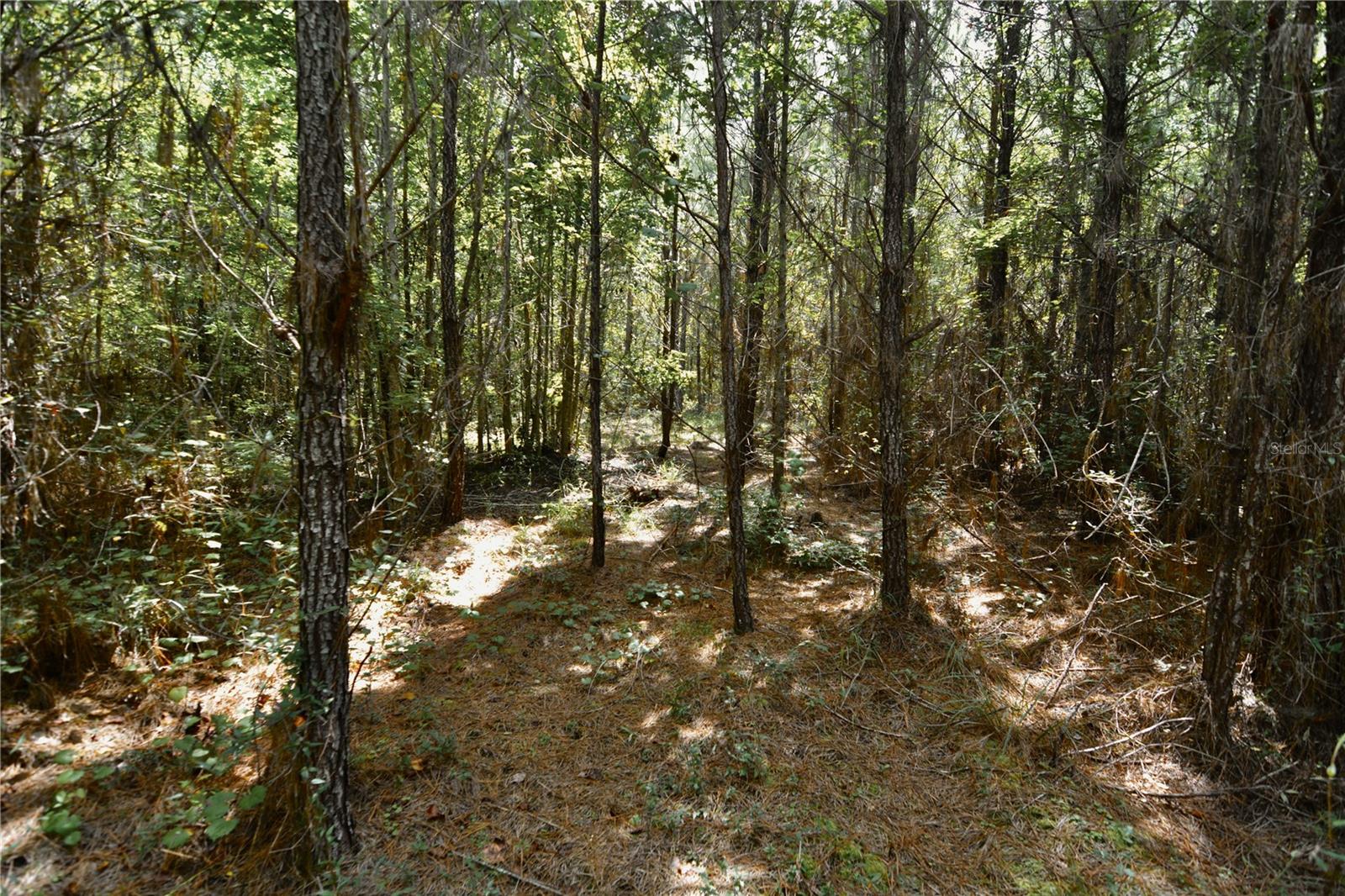 00 Old Federal Rd Property Photo 36