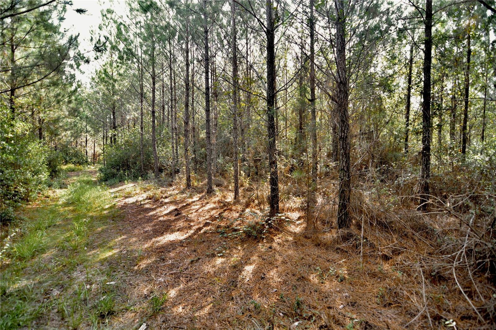 00 Old Federal Rd Property Photo 39