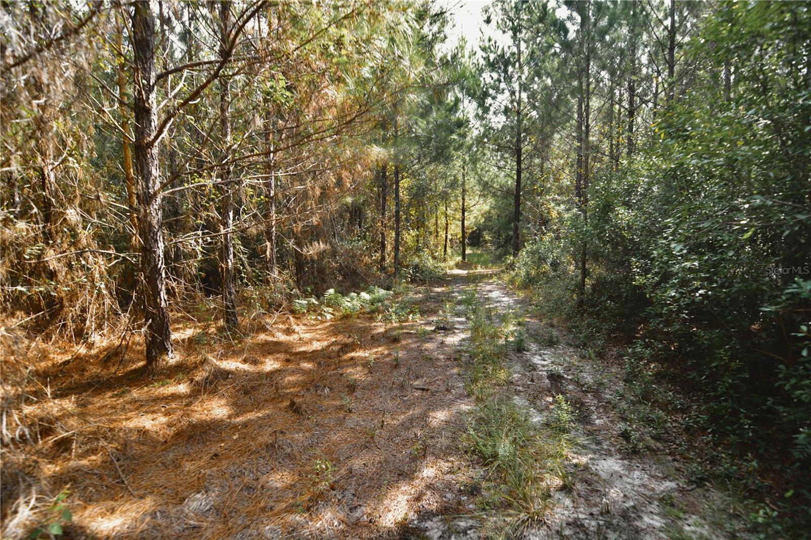 00 Old Federal Rd Property Photo 40