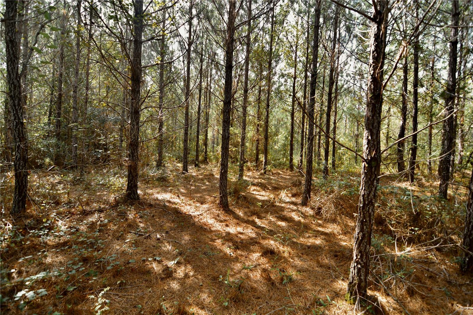 00 Old Federal Rd Property Photo 41