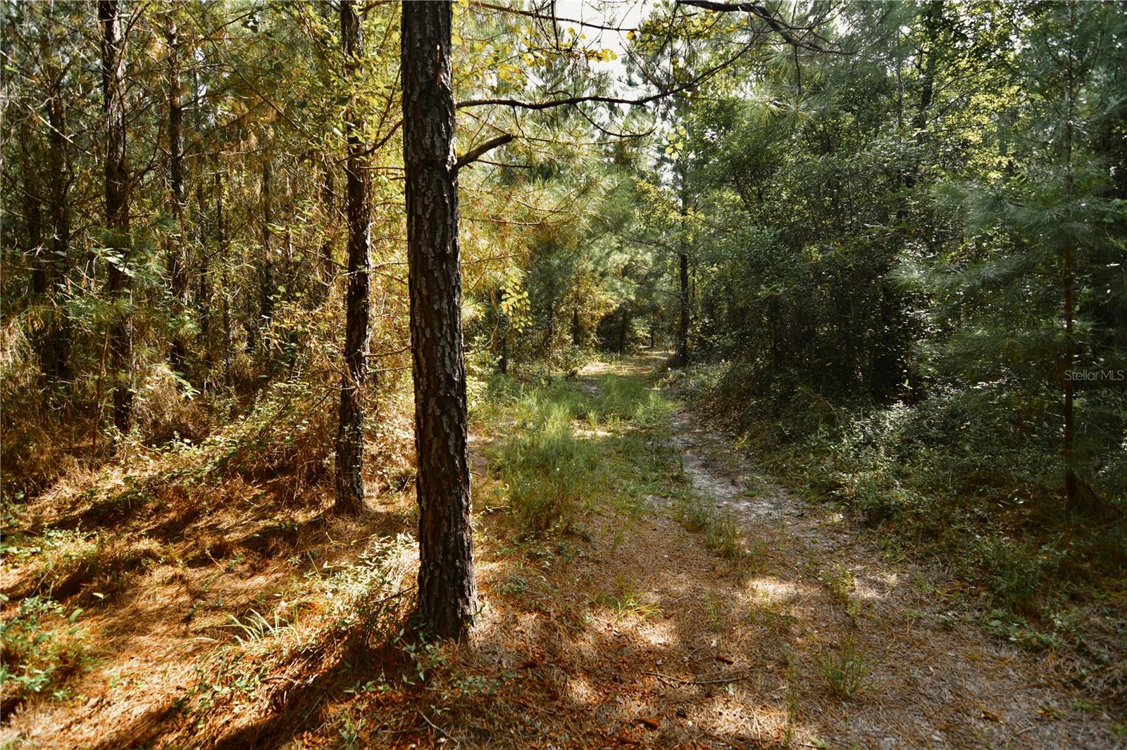00 Old Federal Rd Property Photo 42