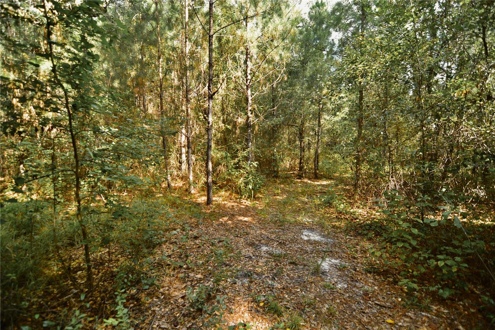00 Old Federal Rd Property Photo 45