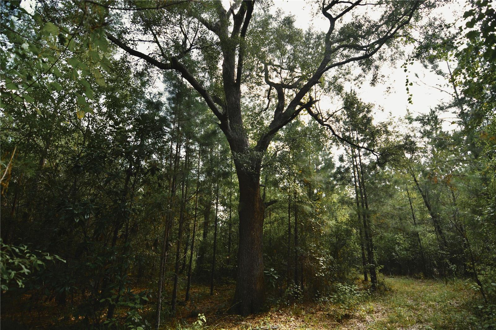 00 Old Federal Rd Property Photo 46