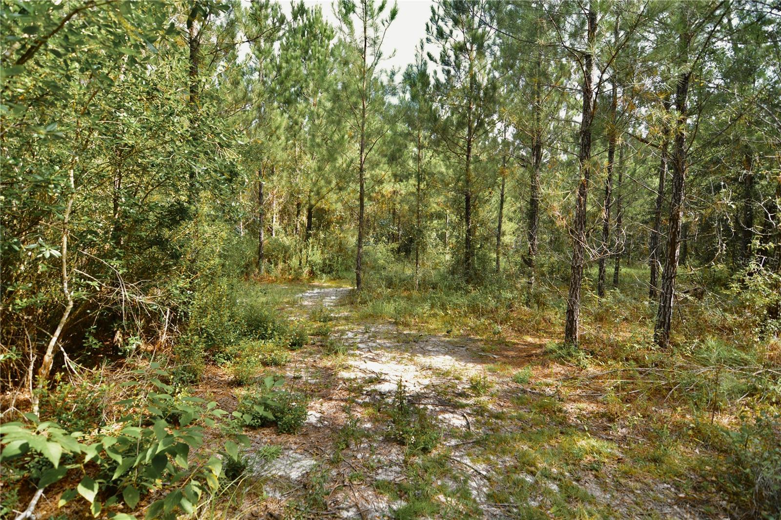 00 Old Federal Rd Property Photo 47