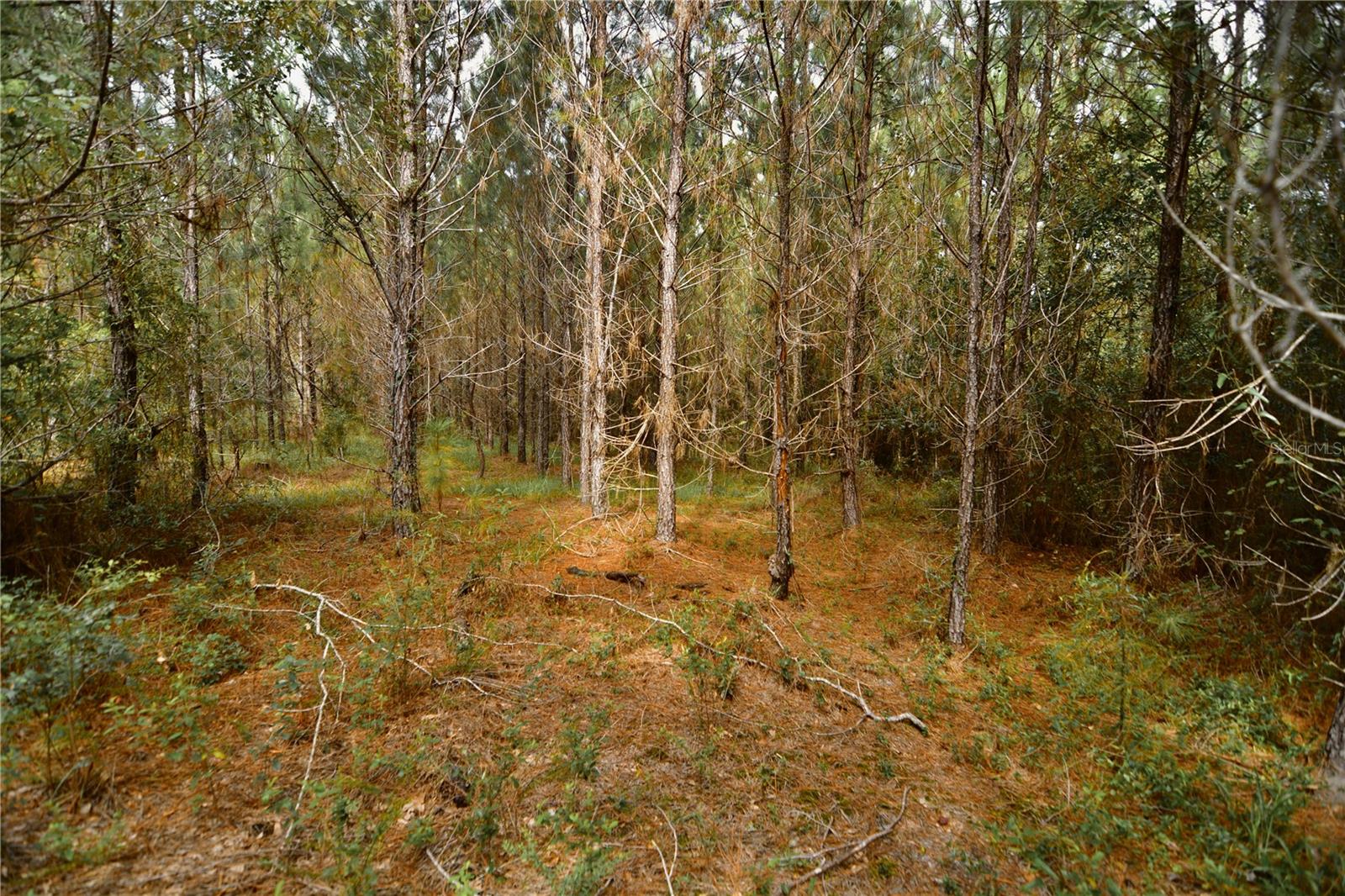 00 Old Federal Rd Property Photo 48