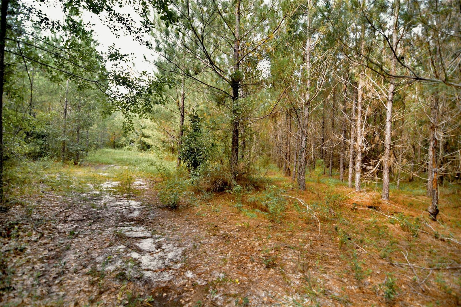 00 Old Federal Rd Property Photo 49