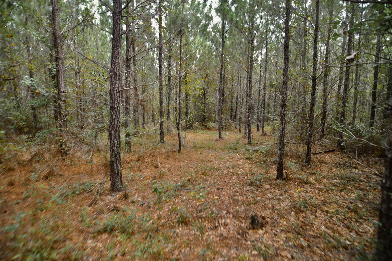 00 Old Federal Rd Property Photo 50