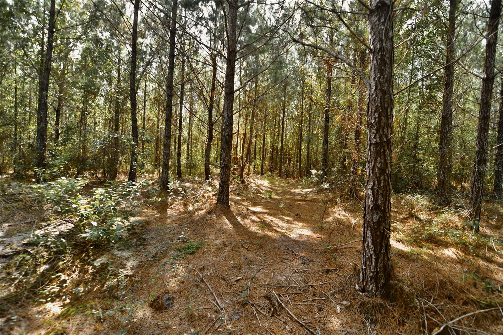 00 Old Federal Rd Property Photo 51