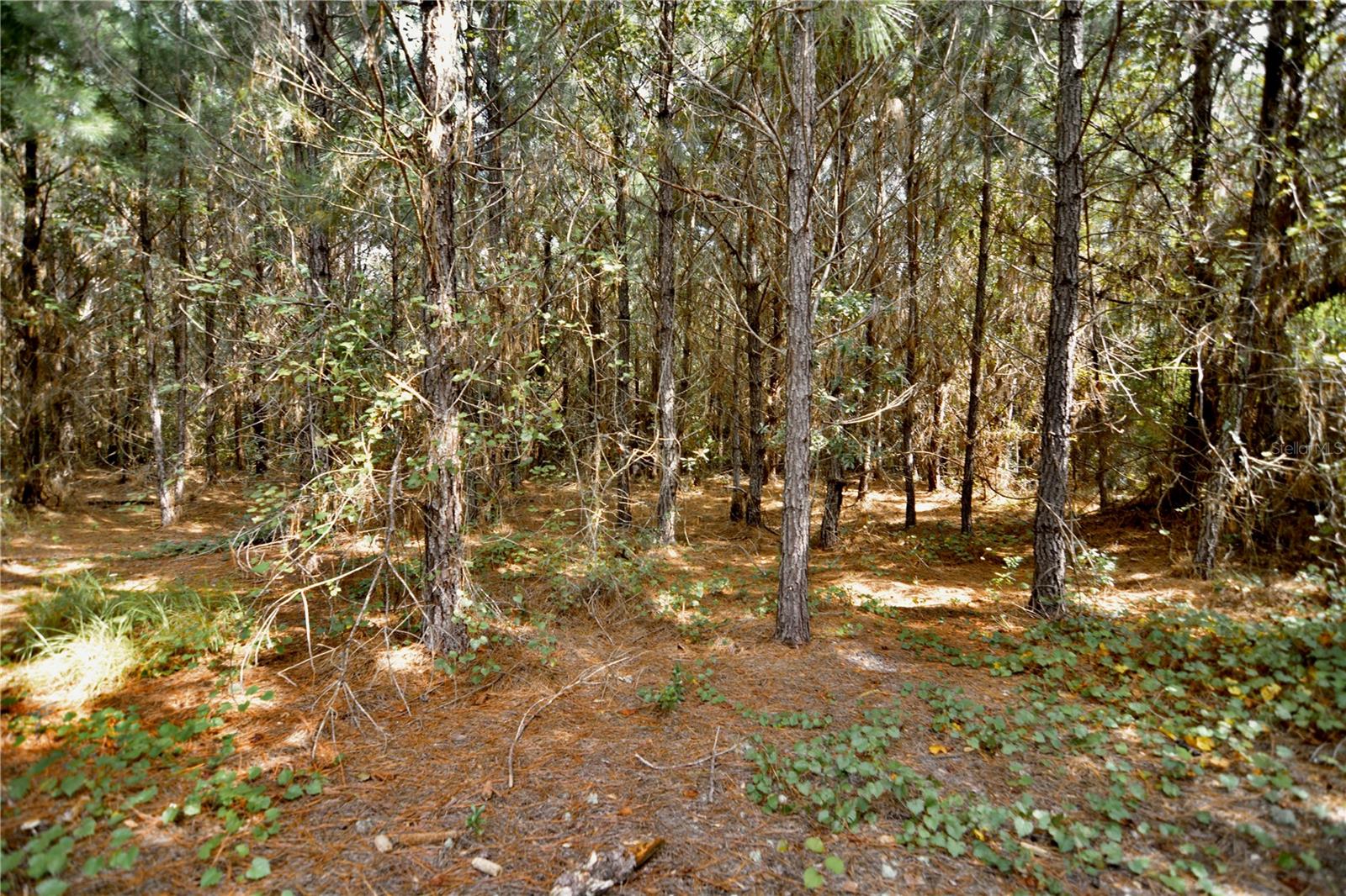 00 Old Federal Rd Property Photo 54
