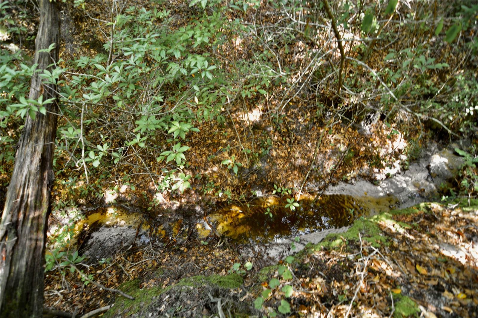 00 Old Federal Rd Property Photo 57