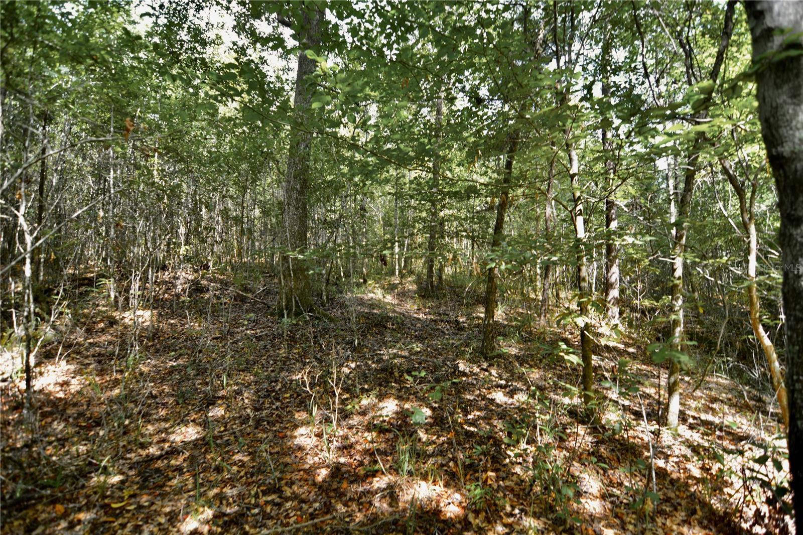 00 Old Federal Rd Property Photo 59