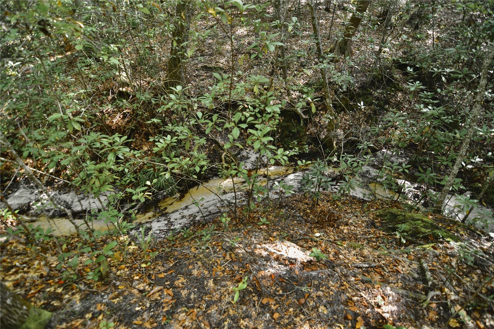 00 Old Federal Rd Property Photo 60