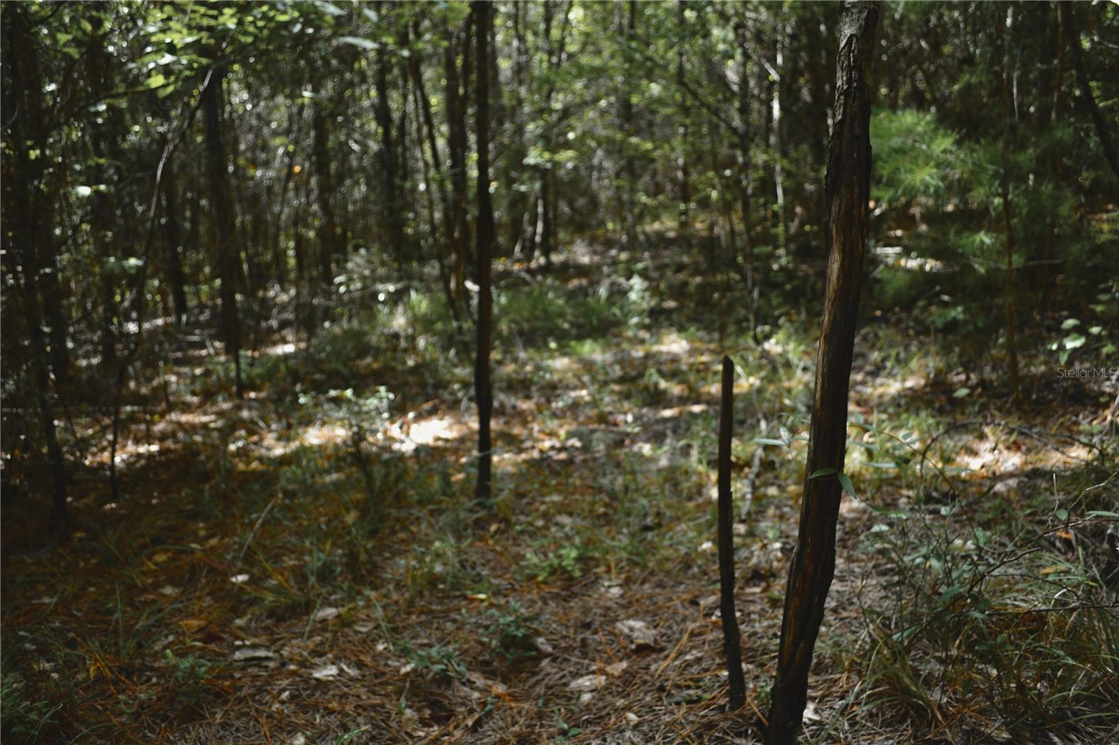 00 Old Federal Rd Property Photo 61
