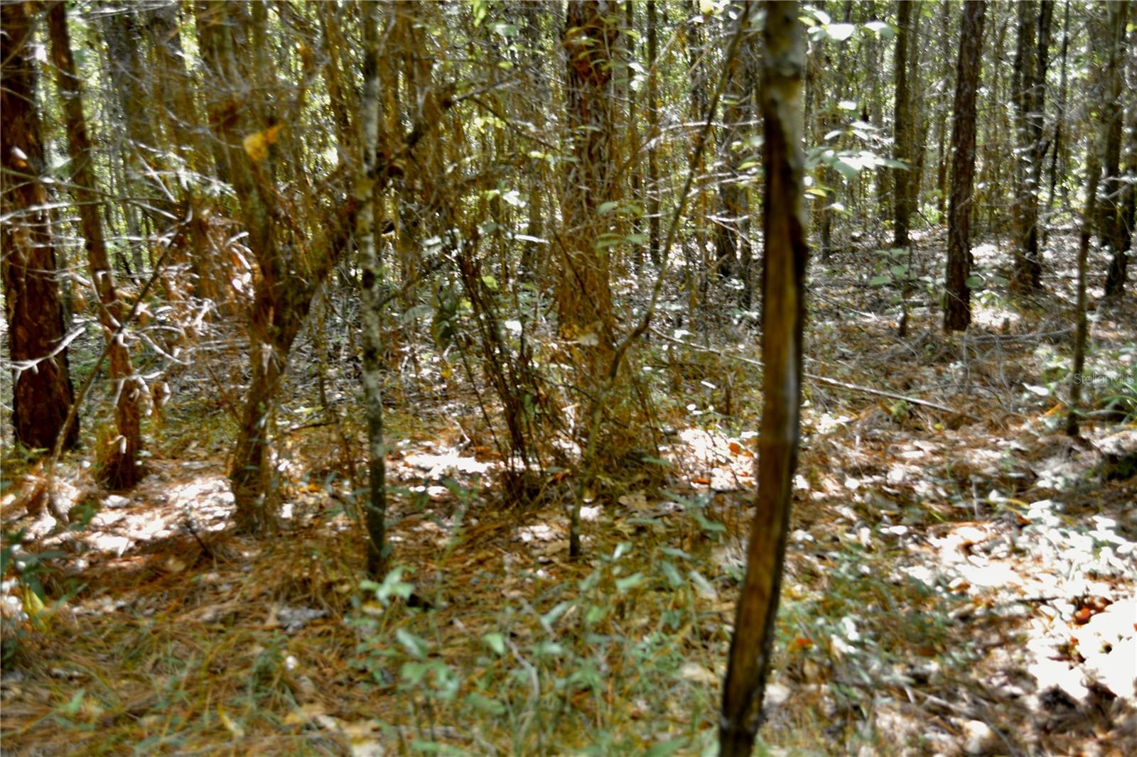 00 Old Federal Rd Property Photo 62