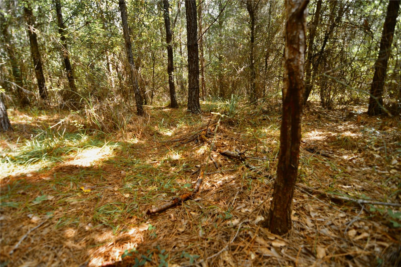 00 Old Federal Rd Property Photo 64