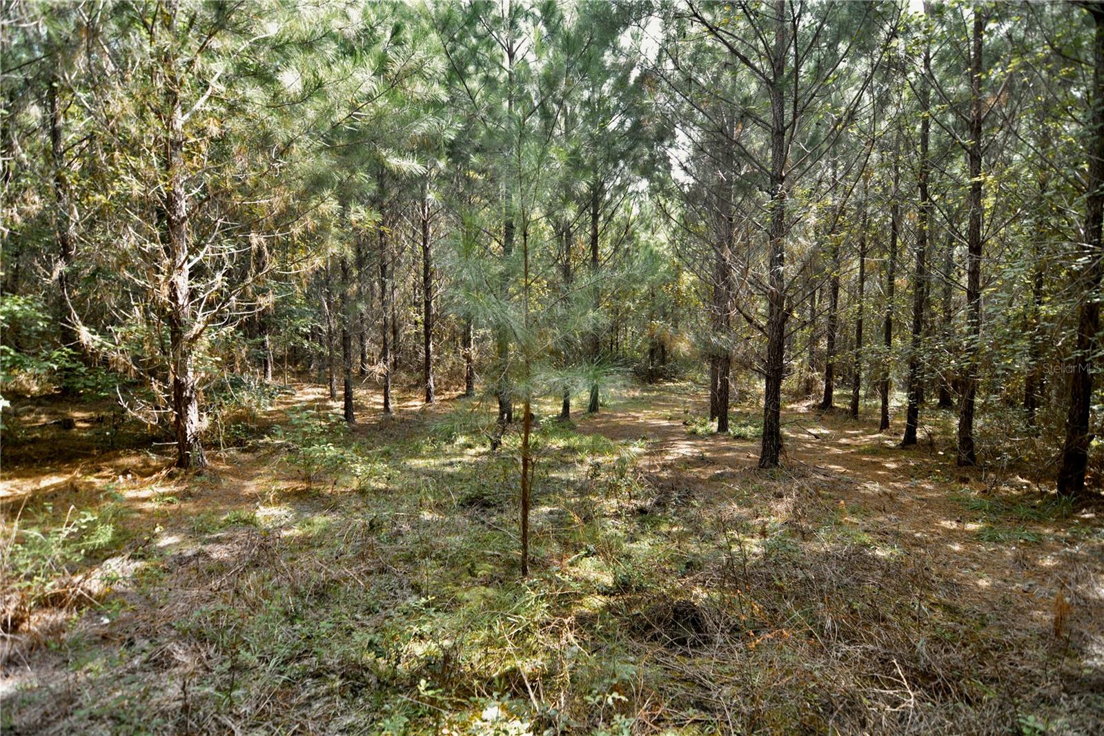 00 Old Federal Rd Property Photo 65