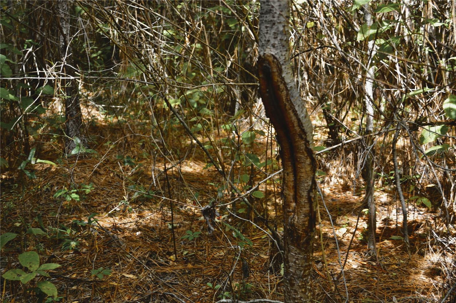 00 Old Federal Rd Property Photo 66