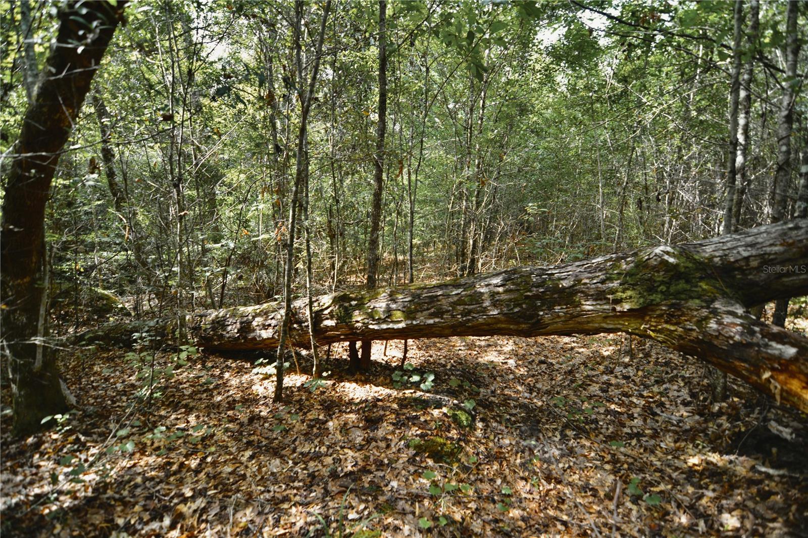 00 Old Federal Rd Property Photo 75