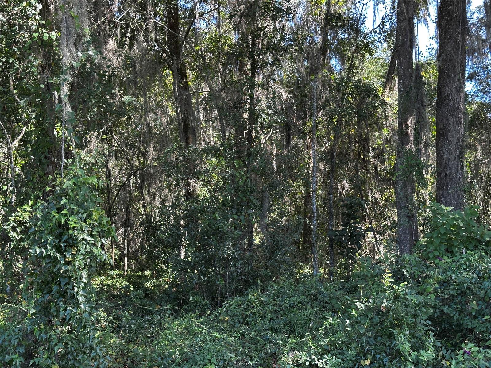 0000 Ne Waldo Rd Property Photo 13