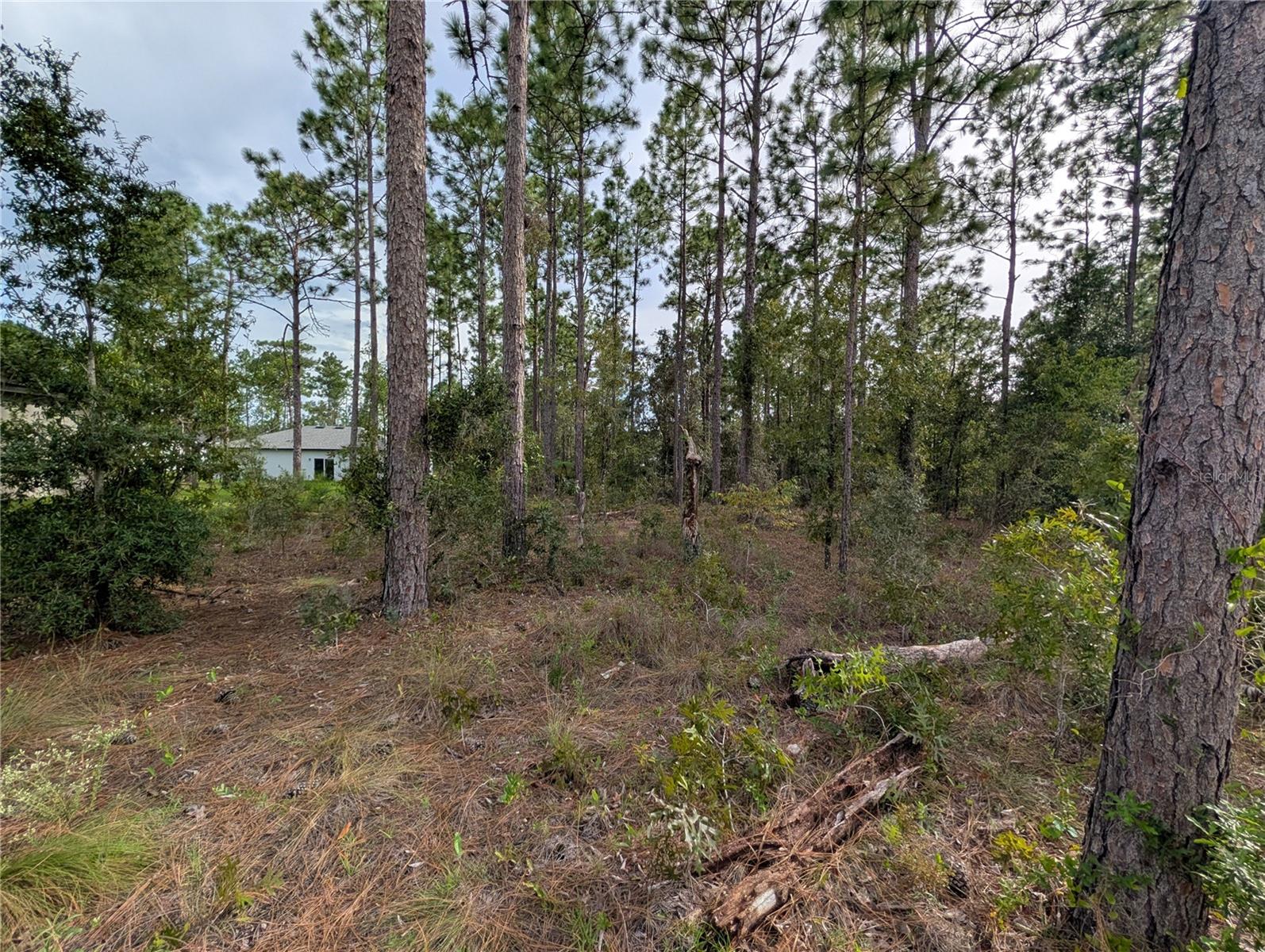640 W HERONSBILL LN Property Photo 1