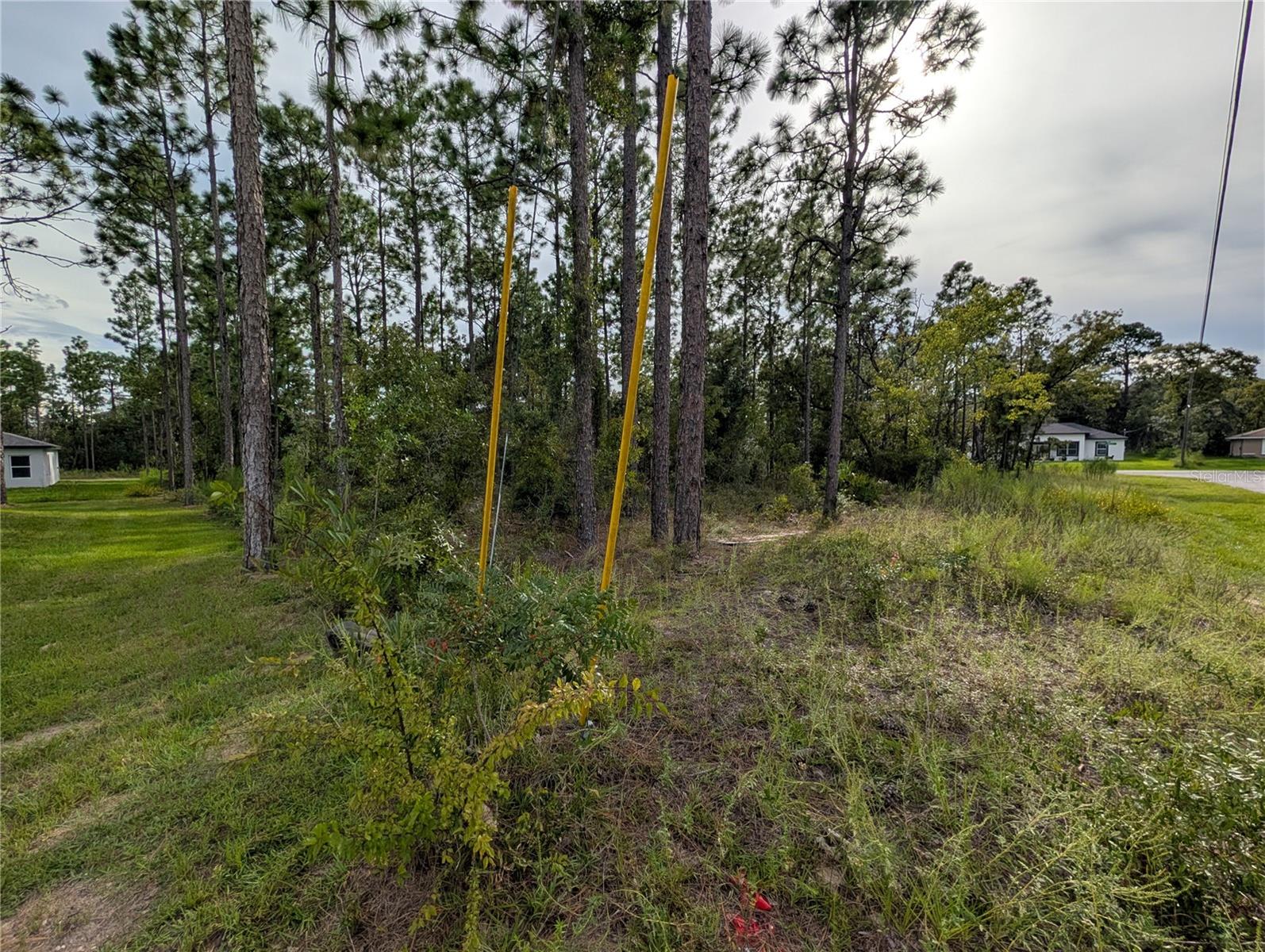 640 W Heronsbill Ln Property Photo 6