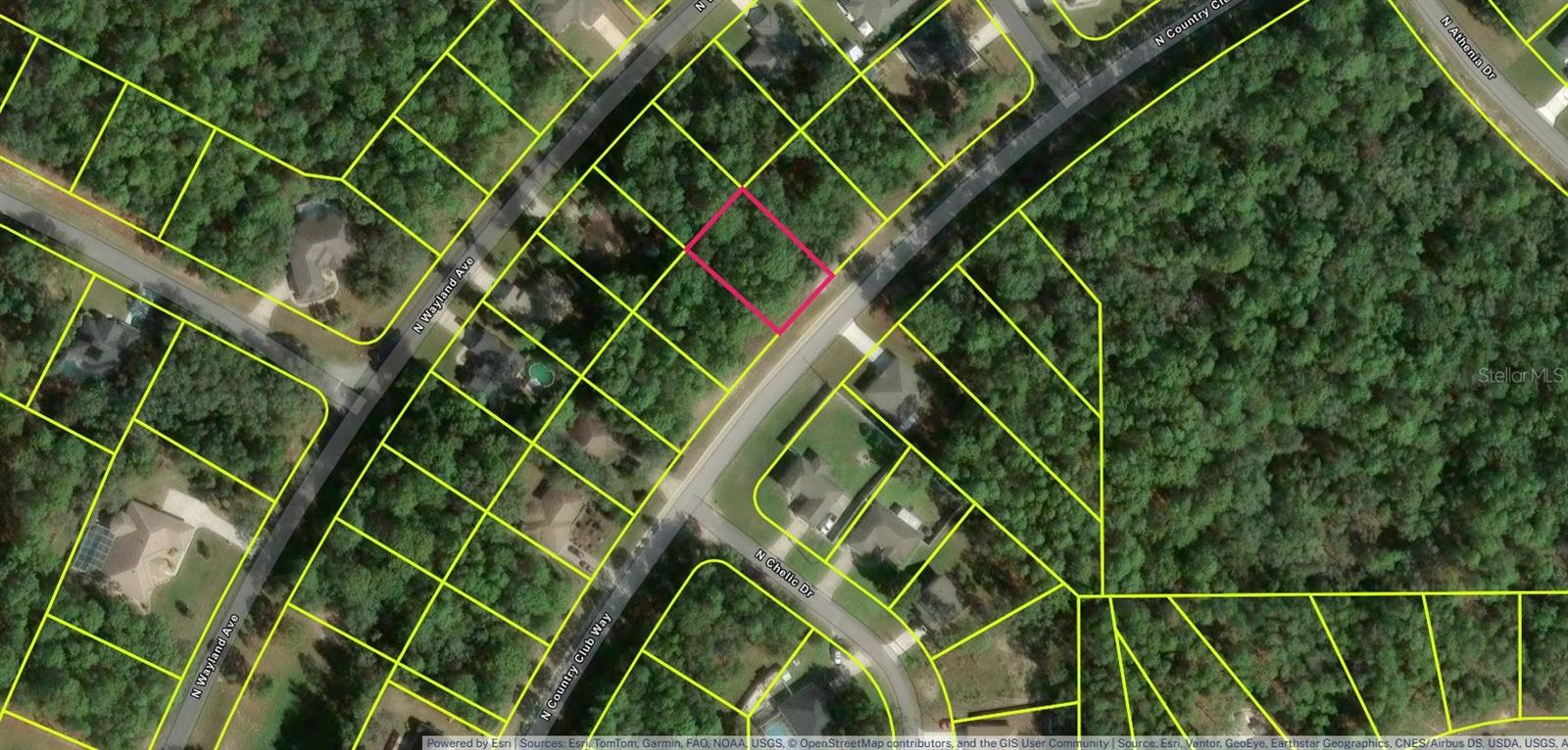 10052 N Country Club Way Property Photo 6