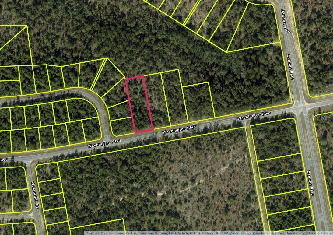 Lot 26 Unit 6 Blk 365 Washington Blvd Property Photo 1