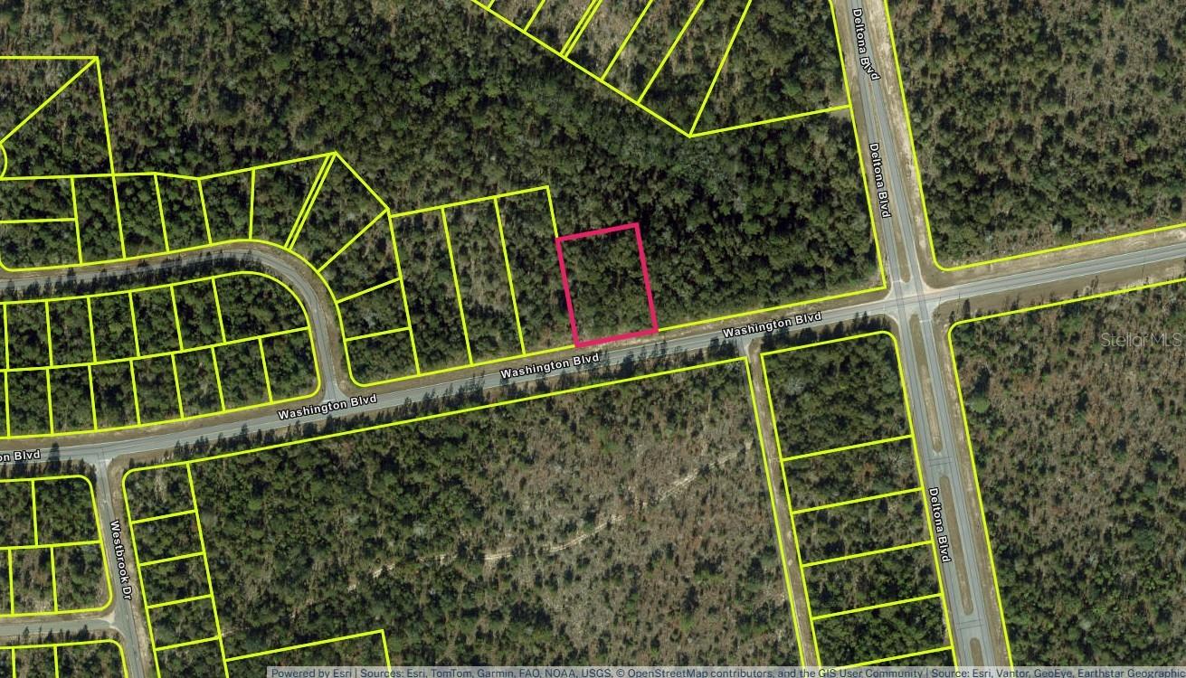 Lot 29 Unit 6 Blk 365 Washington Blvd Property Photo 1