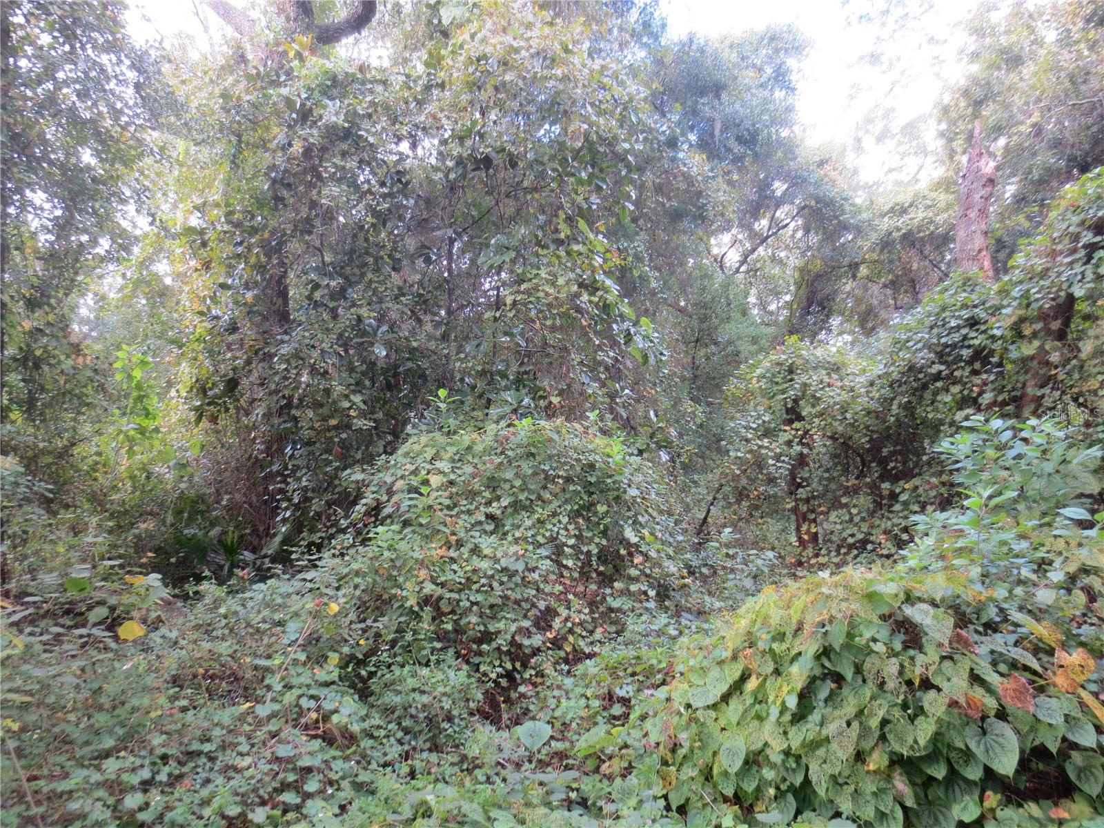 0 Ne 174th Ct Property Photo 2