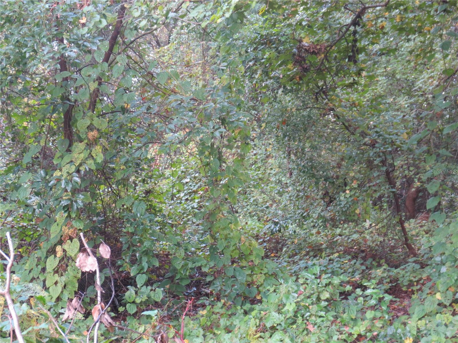 0 Ne 174th Ct Property Photo 3