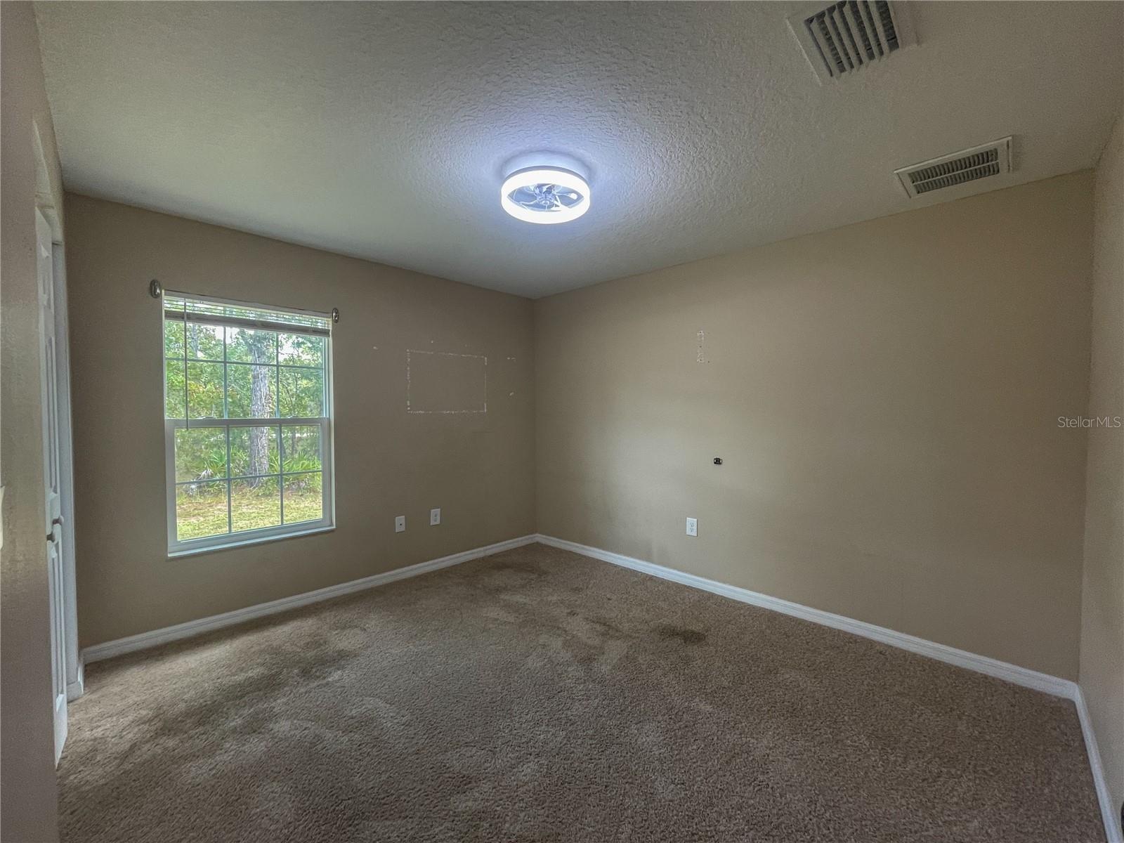 15316 Scaup Duck Ave Property Photo 17