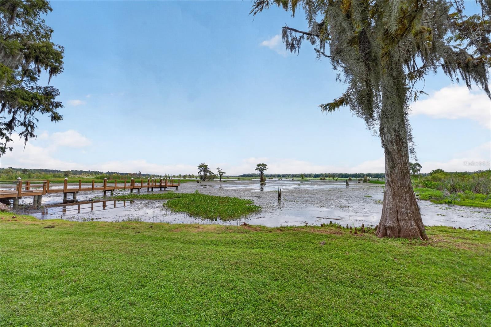 13550 Highway 40 E Property Photo 68