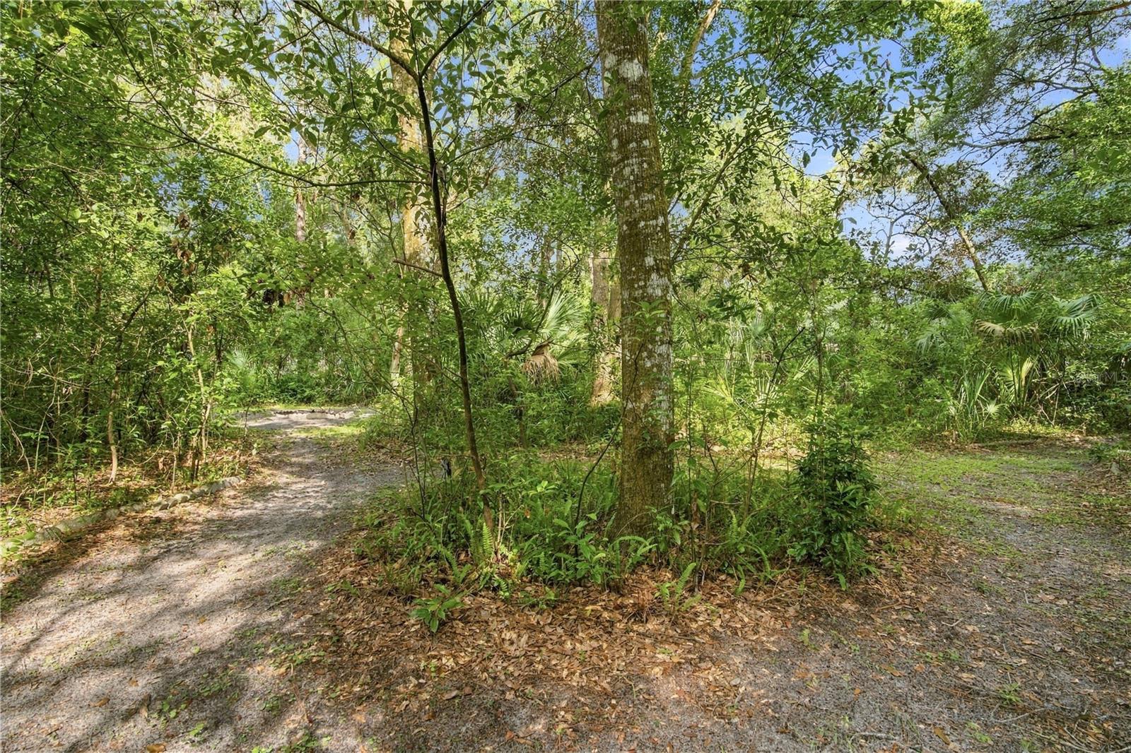 8531 E Fort Cooper Rd Property Photo 50
