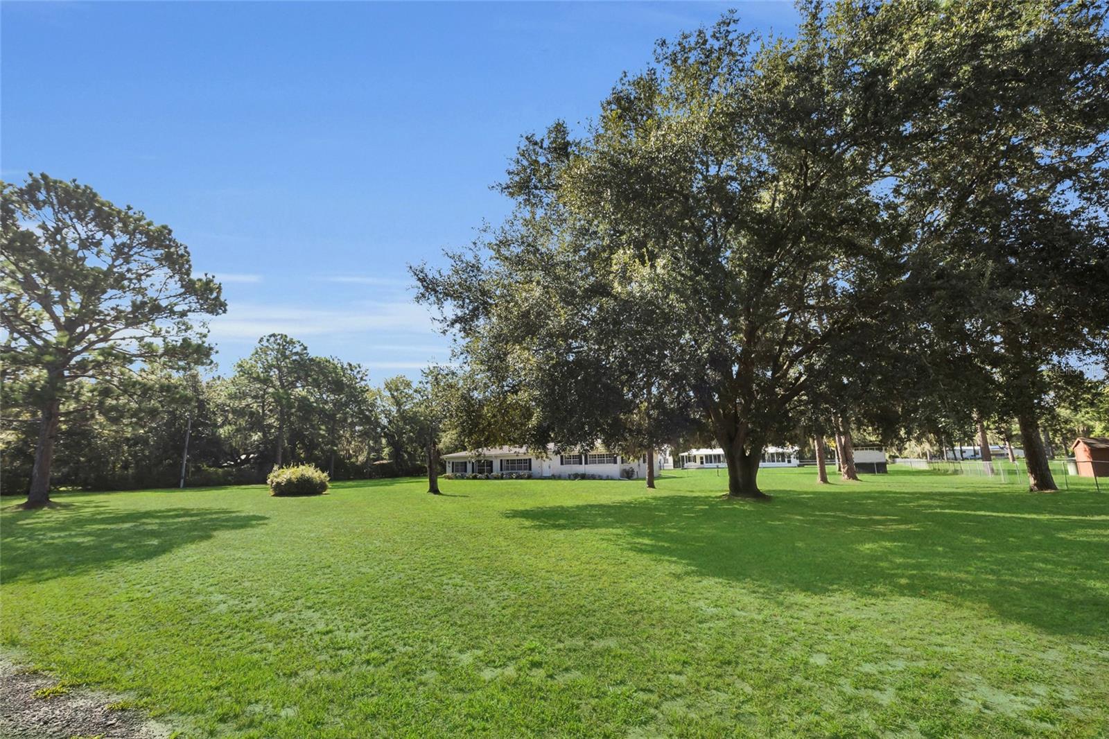 133 Moores Trl Property Photo 4