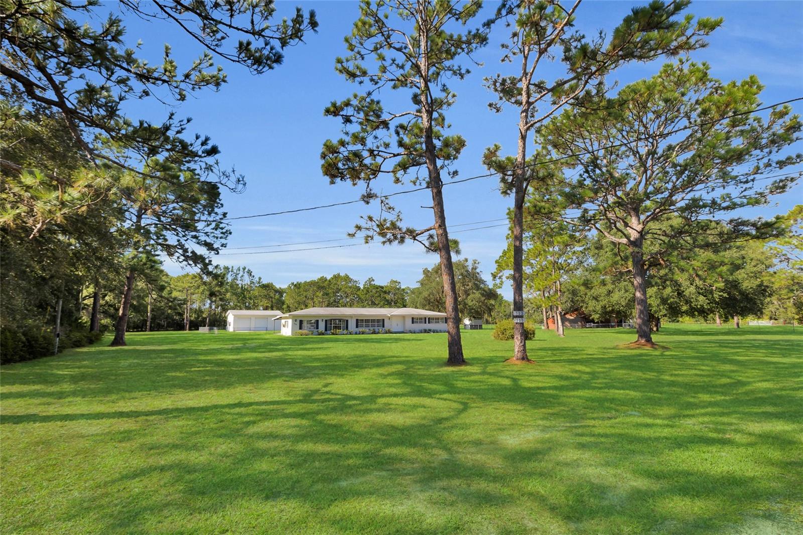 133 Moores Trl Property Photo 5