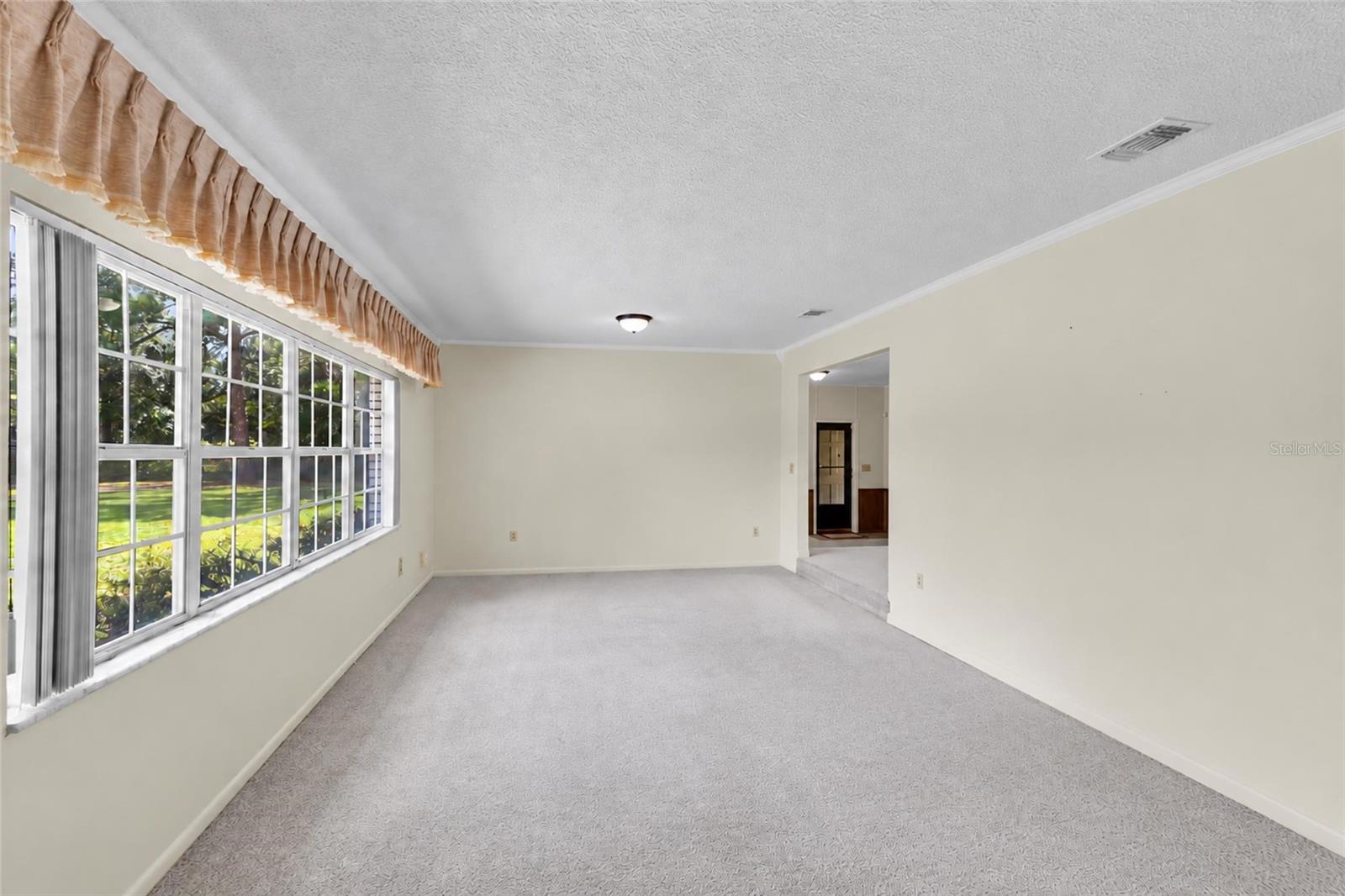 133 Moores Trl Property Photo 13