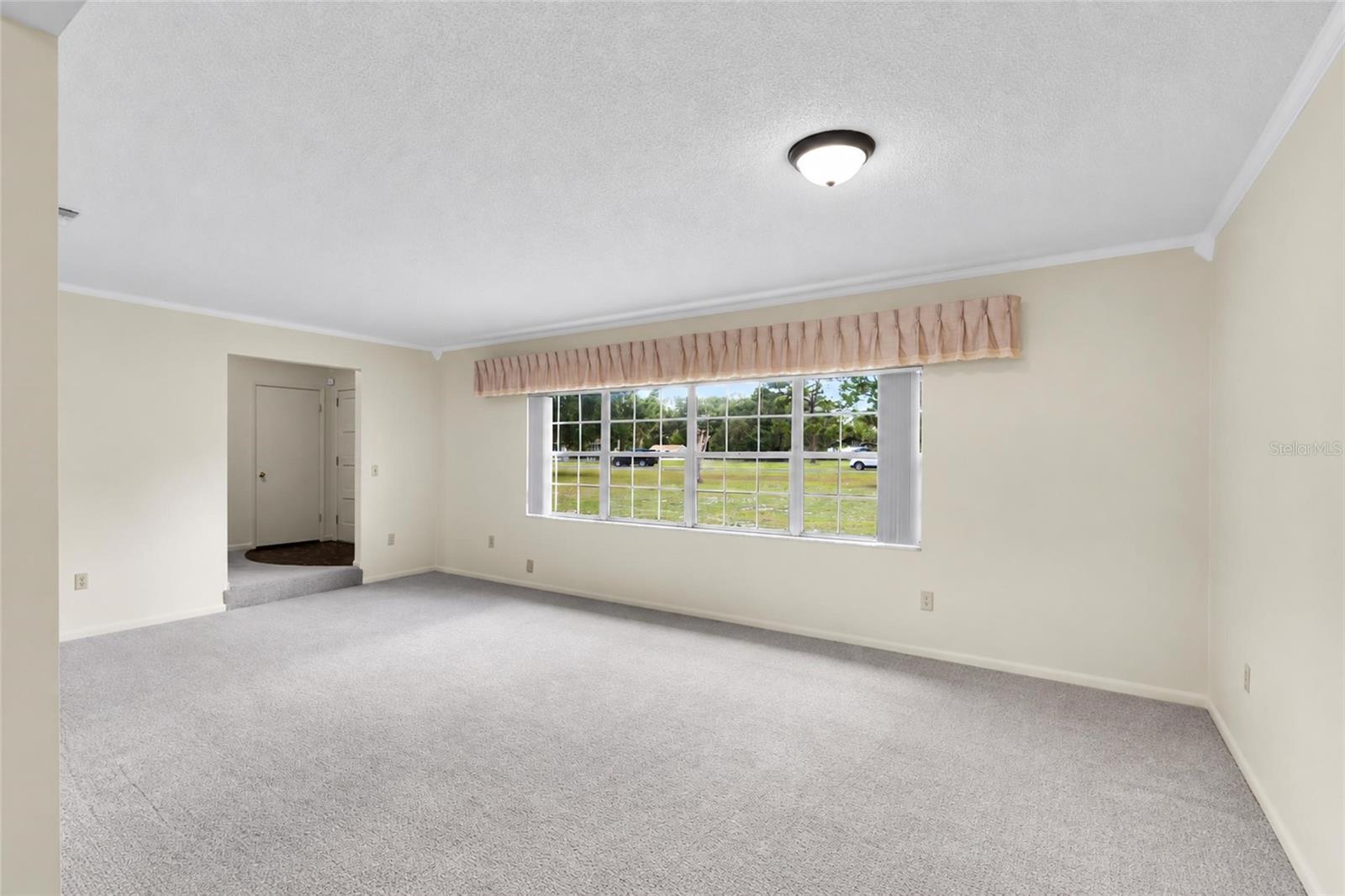 133 Moores Trl Property Photo 15
