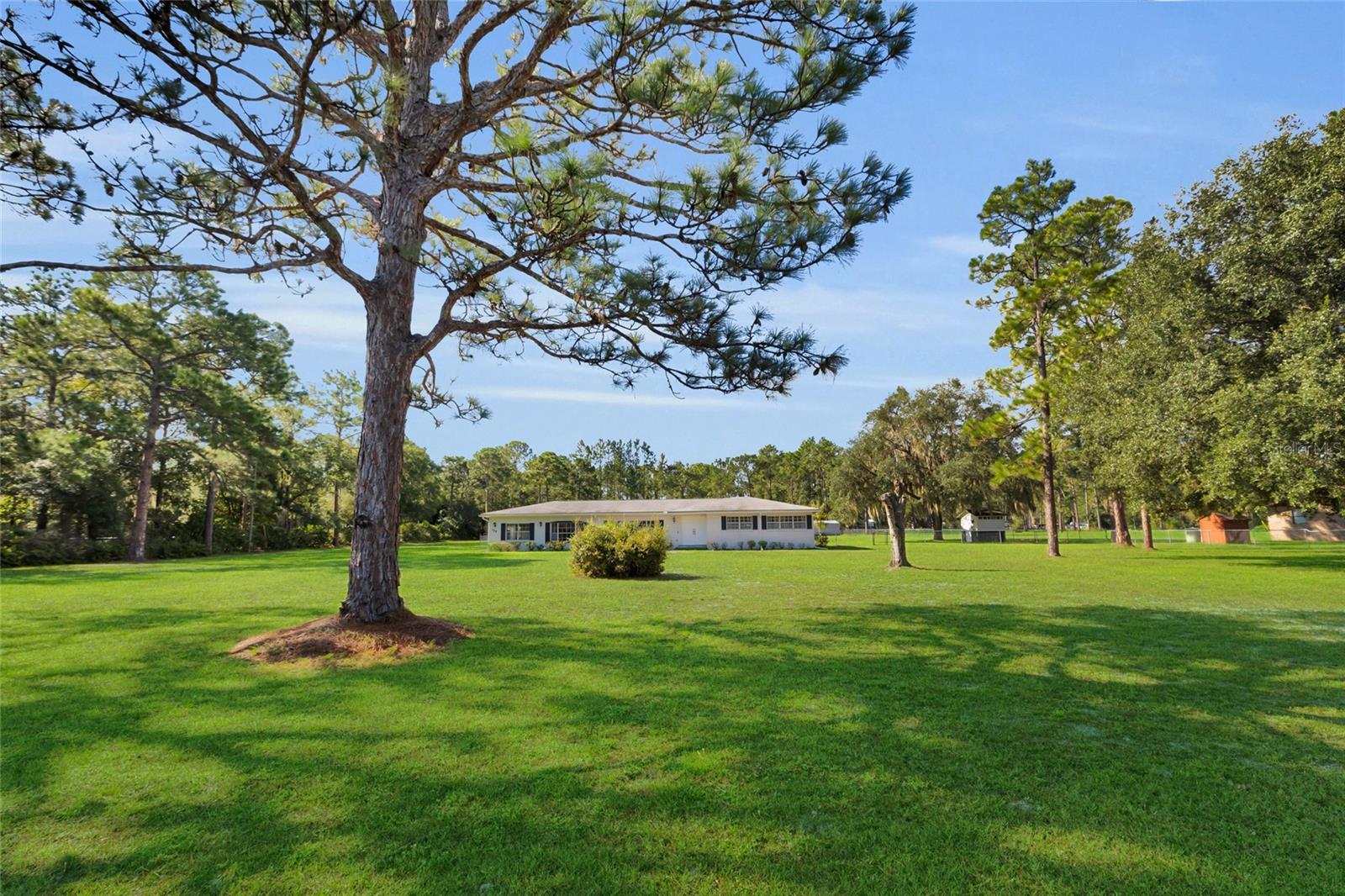 133 Moores Trl Property Photo 59