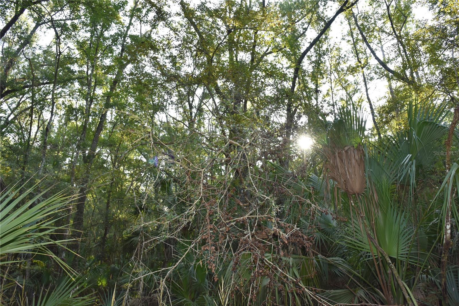 Middle Rd Property Photo 9
