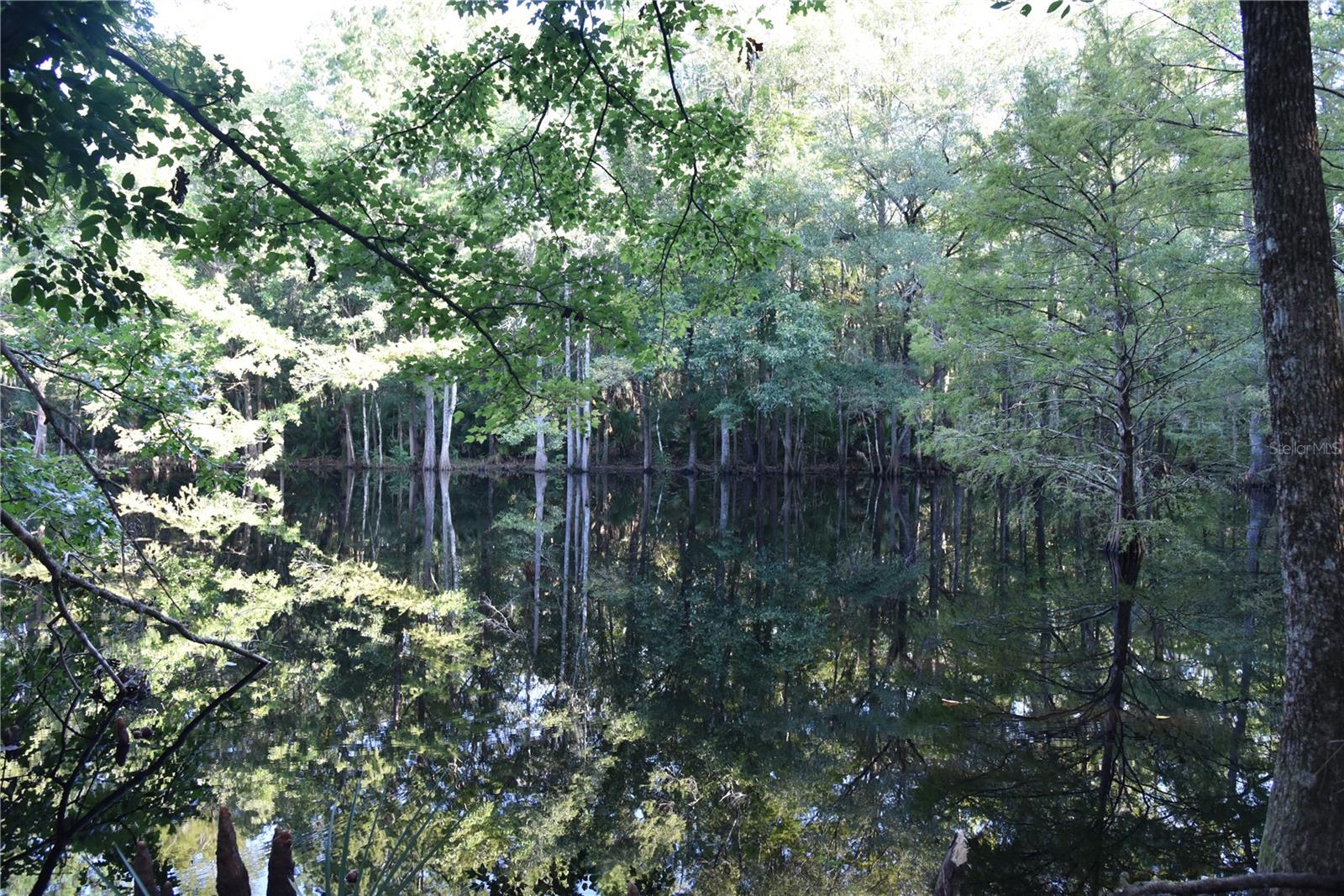 Middle Rd Property Photo 28