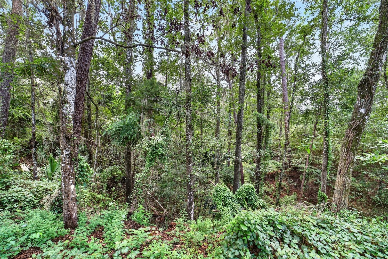 22 Wood Ridge Dr Property Photo 85