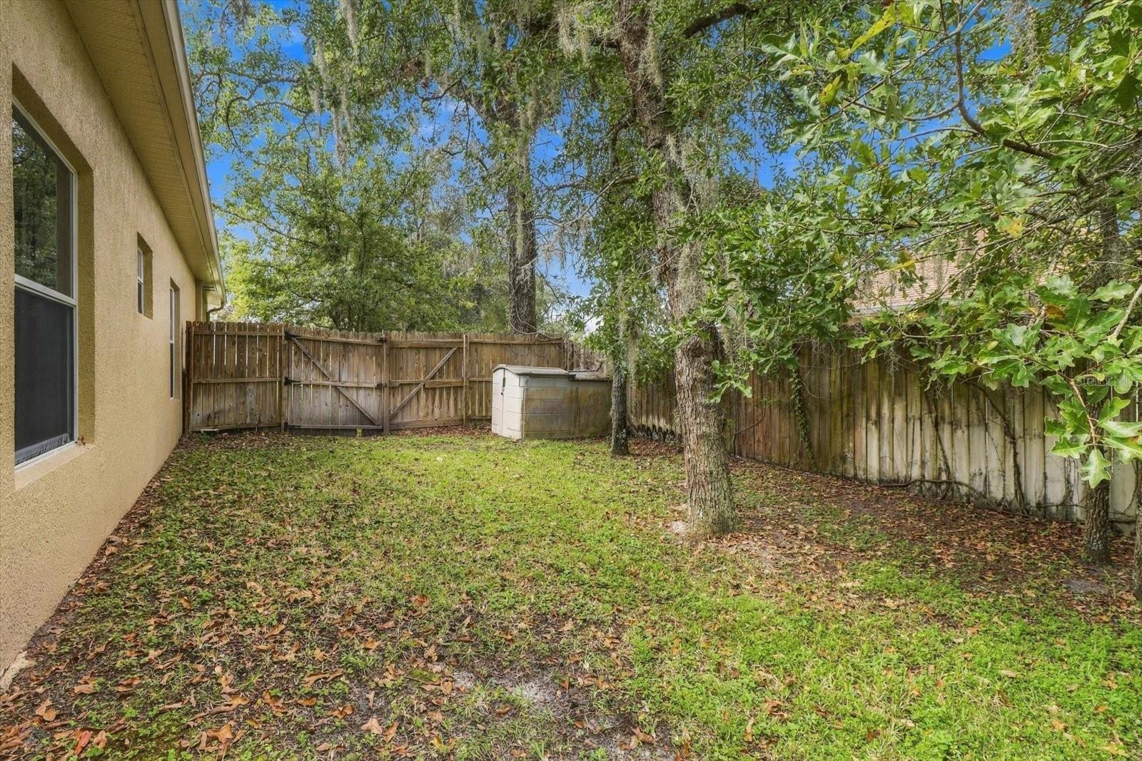 13087 Painted Bunting Ave Property Photo 35