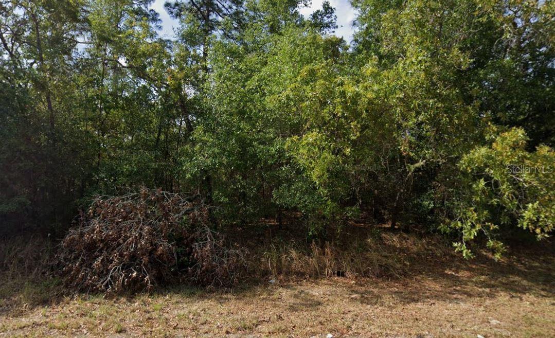 Water Trak Property Photo 3