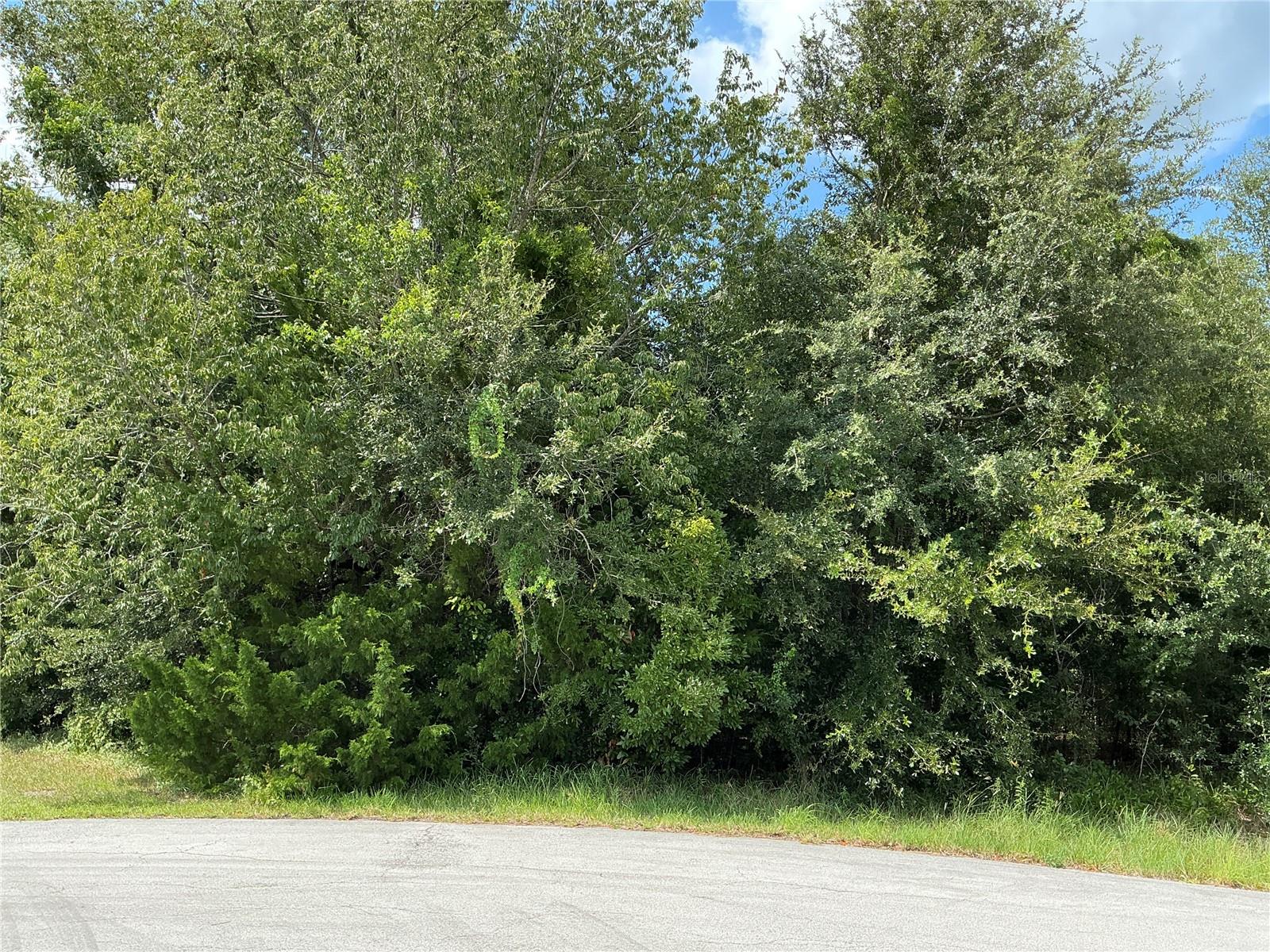 DOGWOOD TRAIL RUN Property Photo 1