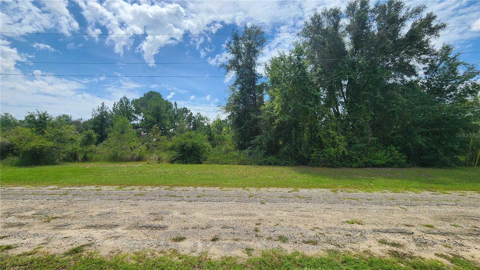 608 E IRENE LN Property Photo 1